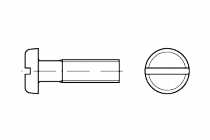 DIN 85  M 3 x 5 Ms   šroub s nízkou válcovou hlavou