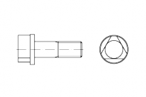 DIN 22424 8.8 AM 8 x 25   šroub s tříhrannou hl.